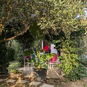 La Maison Sous L'olivier , Morieres-les-Avignon France